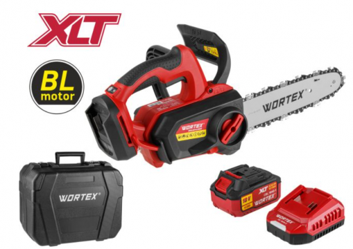Аккумуляторная пила цепная WORTEX CEC 2518-3 в чем. ALL1 XLT SET